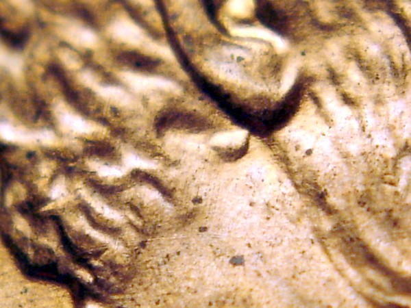2006-P-LMC-1-Do--018-Double-Ear-Lobe